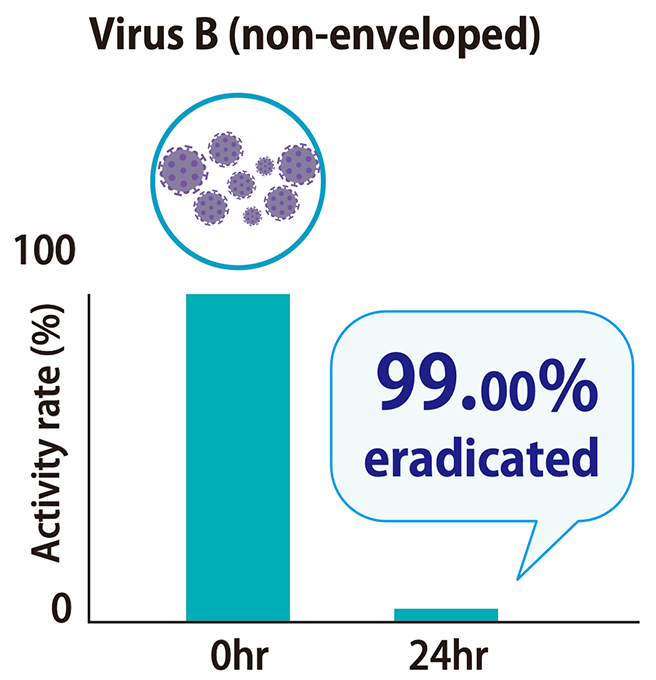 Virus B (non- enveloped)
